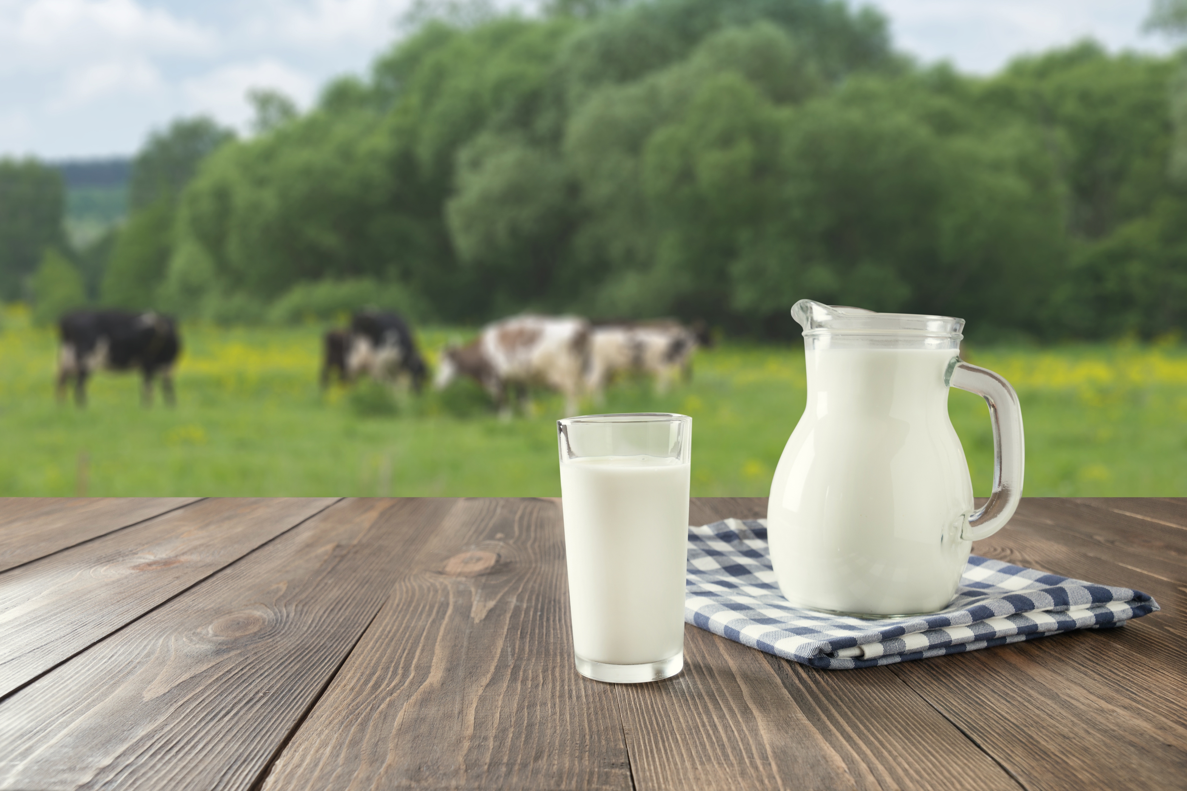Raw Milk Background Cover