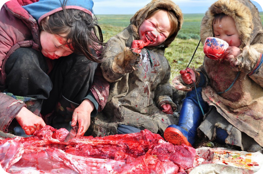 Meat Background Cover